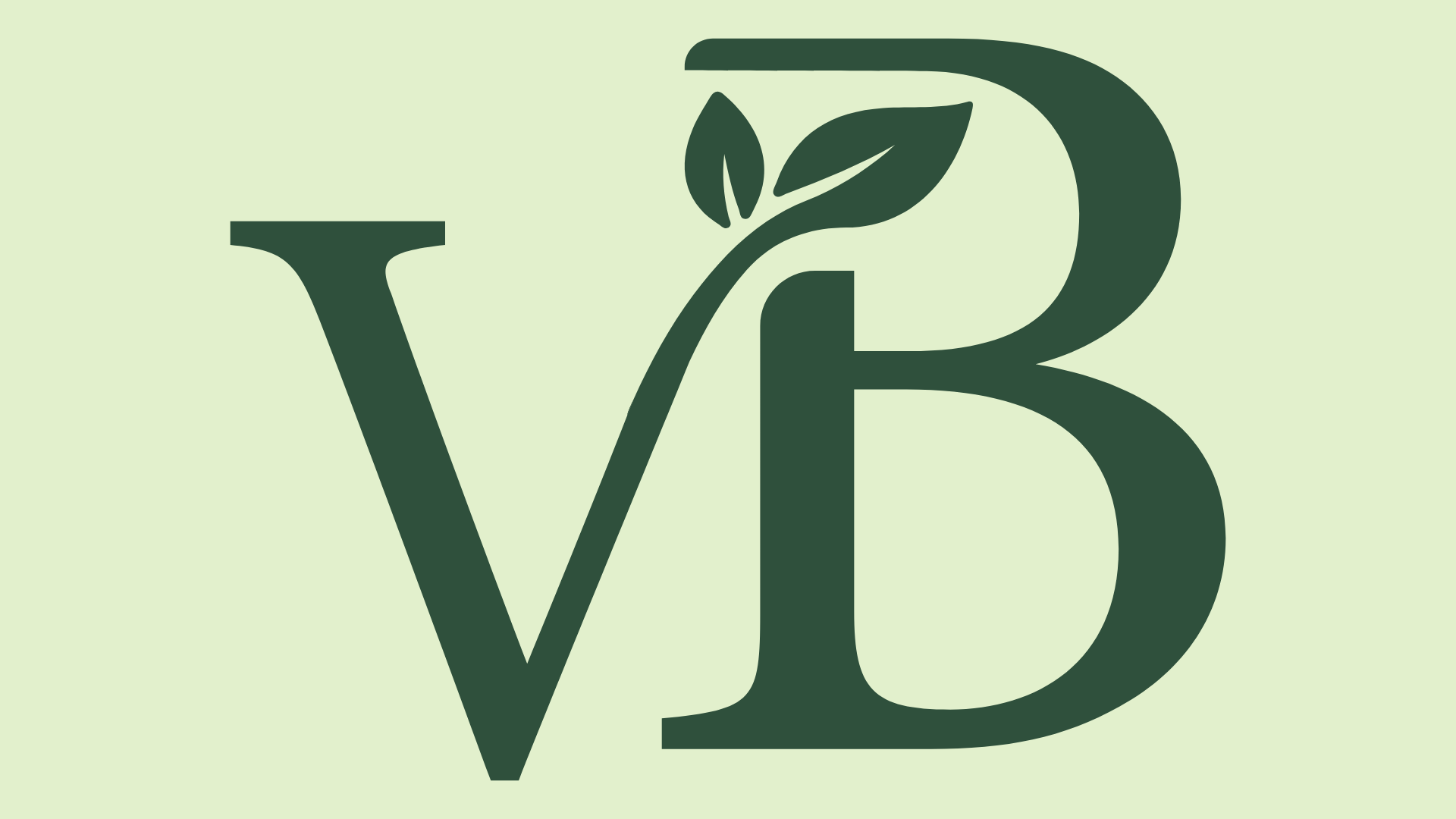 Verde Bendito - Gestión de redes sociales